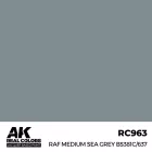 AK REAL COLOR RAF Medium Sea Grey BS381C/637