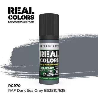   AK Interactive - Real Colors: RAF Dark Sea Grey BS381C/638 17 ml. festék