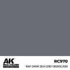 AK REAL COLOR RAF Dark Sea Grey BS381C/638