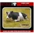Reality In Scale Lying Cow