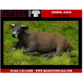 Reality In Scale Lying Bull