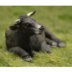 Reality In Scale Lying Bull