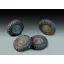 Royal Model Wheels Staghound (for Italeri/Bronco kit műgyanta jármű kiegészítő