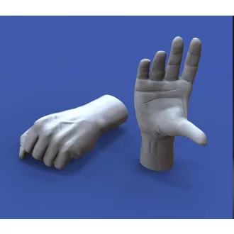 Royal Model Assorted hands set No. 3 figura készlet