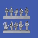 Royal Model Assorted hands set No. 5 figura készlet