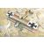 Roden Albatros D.II World War 1 makett