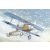 Roden Albatros D.III makett