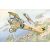 Roden Albatros D.III Oeffag s.53 makett