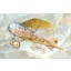 Roden Albatros D.III Oeffag s.253 makett