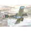 Roden Bristol F.2B Fighter makett