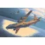 Roden An-12 BK-PPS makett