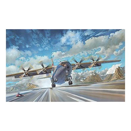 Roden AN-12BK Civil makett