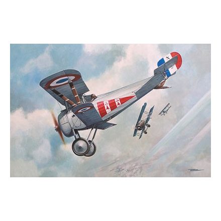 Roden Nieuport 24 makett