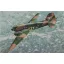 Roden Douglas AC-47D Spooky makett