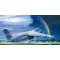 Roden C-5B Galaxy makett