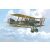 Roden Bristol F.2B Fighter Sunbeam Arab. makett