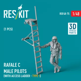   ResKit Rafale C male pilot with access ladder (type 1) (1 pcs) (3D Printed)