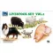 Riich Models Livestock Set Vol.1