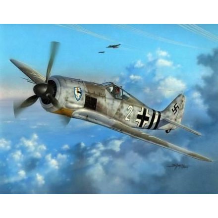 Special Hobby Focke Wulf Fw 190A-6 'Early Sturmbirds' makett
