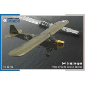   Special Hobby  L-4 Grasshopper From Africa to Central Europe makett