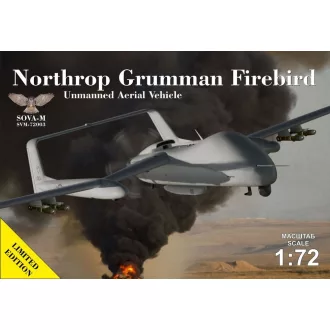 Sova-M N.G.Firebird UAV concept repülő makett