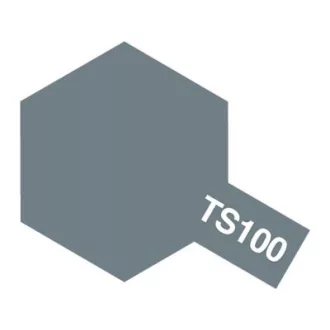 Tamiya TS-100 Bright Gun Metal