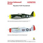 Techmod Republic P-47D Thunderbolt Razorback matrica