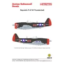 Techmod Republic P-47M Thunderbolt matrica