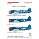 Techmod Republic P-47M Thunderbolt matrica