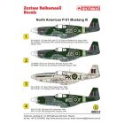 Techmod North American P-51 Mustang III matrica