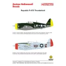 Techmod Republic P-47D Thunderbolt matrica