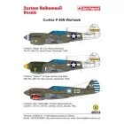 Techmod Curtiss P-40N-5 Warhawk matrica