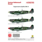 Techmod Supermarine Spitfire IX matrica