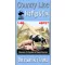 Toro Model Two pigs & cow Country Line 1/48 Three resin figurines makett