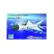 Trumpeter F-8 II China the Plaaf The Plaaf repülő makett