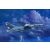 Trumpeter ERA-3B Skywarrior Strategic Bomber makett
