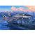 Trumpeter F-14D Super Tomcat makett