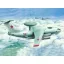 Trumpeter Iljushin A-50 Mainstay makett