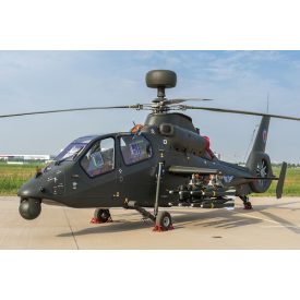 Trumpeter Z-19G Light Scout/Attack Helicopter makett