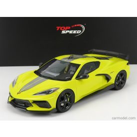   TRUESCALE CHEVROLET CORVETTE STINGRAY N 0 IMSA GTLM CHAMPIONSHIP EDITION 2020