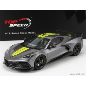  TRUESCALE CHEVROLET CORVETTE STINGRAY N 0 IMSA GTLM CHAMPIONSHIP EDITION 2020