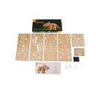 UGEARS Triceratopsz modell