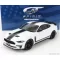 GT Spirit FORD MUSTANG COUPE 5.0 R-SPEC RHD 2020