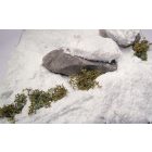 Vallejo Snow Weathering Effect