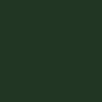 Vallejo - Game Color: Dark Green 18 ml festék
