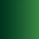 Vallejo - Xpress Color: Forest Green 18 ml festék