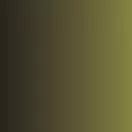 Vallejo - Xpress Color: Camouflage Green 18 ml festék