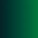 Vallejo - Xpress Color Intense: Monastic Green 18 ml festék