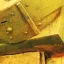Vallejo - Weathering FX: Rust Texture 40 ml makettező effekt