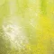 Vallejo - Weathering FX: Slimy Grime Light 40 ml makettező effekt